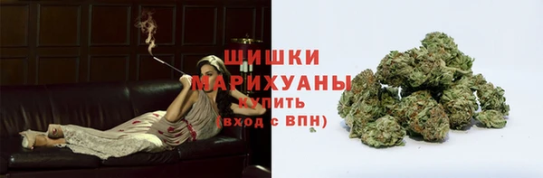 PSILOCYBIN Бронницы