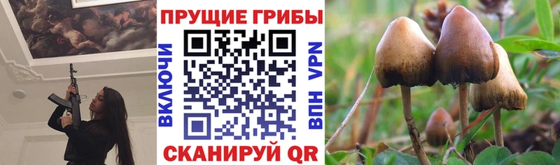 Галлюциногенные грибы GOLDEN TEACHER  Коломна 