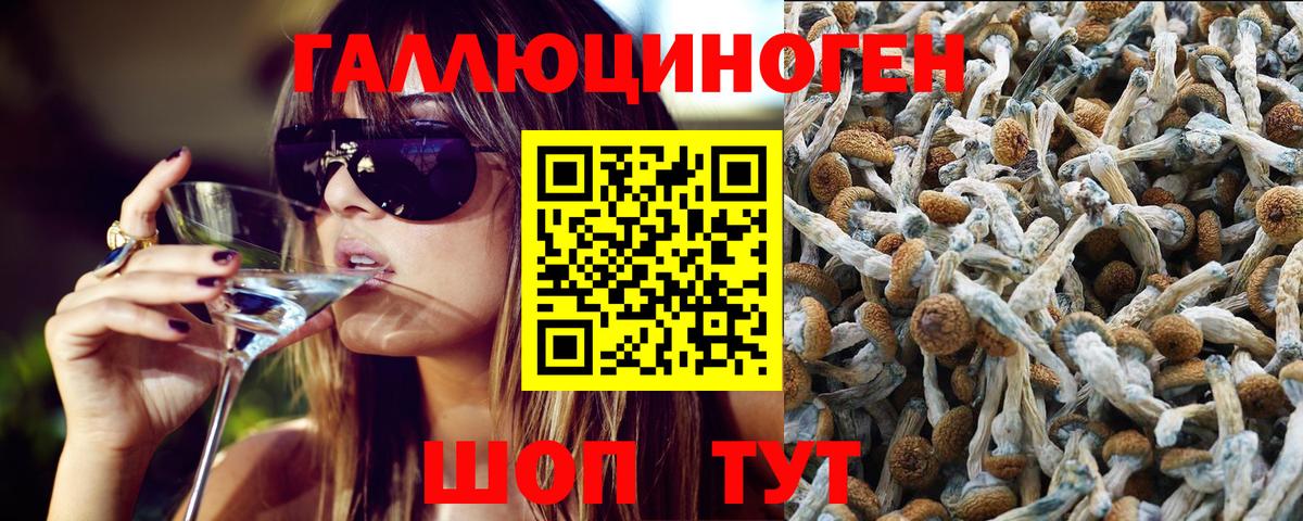 Псилоцибиновые грибы мухоморы Коломна